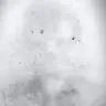 Bobby Brace - @bobbybrace6 - TikTok