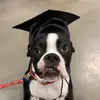 Bobby Bradley - @bobby.bradley60 - TikTok