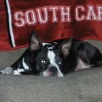 Bobbie  Branham - @ditosmom - Instagram
