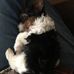 Bobbie Brasher - Facebook
