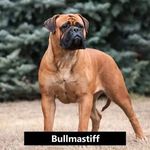 Bobby Braun - @bobbybraun556qwer - Instagram
