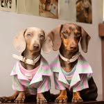 แบกหมาเที่ยว || 𝑩𝑶𝑩𝑩𝒀 & 𝑩𝑰𝑳𝑳𝒀 - @bobby.brownsausage - Instagram