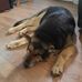 Bobby Byrum - Facebook