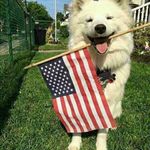 Burcham Bobby - @burchambobby - Instagram