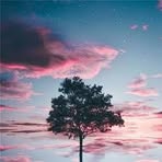 Bobby Byrd - Facebook