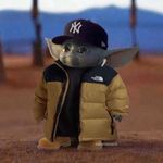 Bobby Byrne - @bobalob_byrne_ - Instagram