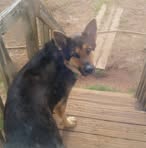 Bobby Byrum - Facebook