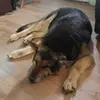 Bobby Byrum - @bobby.byrum37 - TikTok