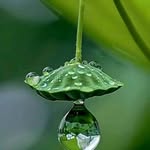 bobby chacko - @chackoj805 - Instagram