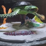 Bobby L Chance - @bobby.l.chance - Instagram