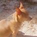 Bobby Chavis - Facebook