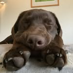 Bobby Clements - @bobsterc25 - Instagram