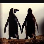 Bobby Cobb - @studacenz - Instagram