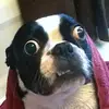 Bobby Cobb - @bobby.cobb3 - TikTok