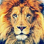 Bobby Conklin - @bobby_conklin102 - Instagram