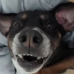 Bobby Cooke - @dance4yrcooki - Instagram