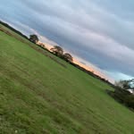 Bobby Crowe - @1_bob303 - Instagram