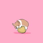 Bobby Crowe - @bobby.crowe.35977 - Instagram