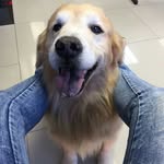 Bobby Cullen - @aboutbobby_ - Instagram