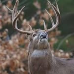 Bobby Daugherty - @bobby.daugherty88 - Instagram