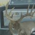 Bobby Daugherty - Facebook