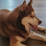 Bobby Davenport - @bobbyjr1964 - Instagram