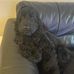 Bobby Dean - Facebook