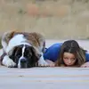Bobby Dishman247 - @user94904266 - TikTok