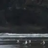 bobby - @bobby.dolan - TikTok