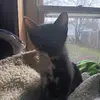 Bobby Dowdle - @bobby.dowdle - TikTok