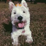 Bobby Drift - @hey_bobby_here - Instagram