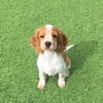 Bobby Duffy - @bobbyduffy20 - Instagram