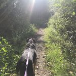Bobbie Farrington - @bobbielf4 - Instagram