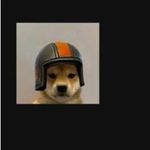 bobby farrington - @bobdoesgaming15 - Instagram