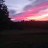 proudamerican - @bobbyflake269 - TikTok