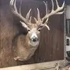 Bobby Fox - @bobby.fox7 - TikTok