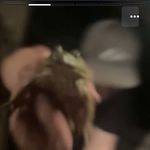 Bobby Gentry - @blgentry02 - Instagram