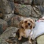 Bobby Gilliam - @bobby_gilliam48 - Instagram