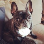 Bobby Glover - @bobbyglover - Instagram