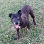 Bobby Glover - @bobenator13 - Instagram