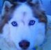 Bobby Wayne Glover - Facebook