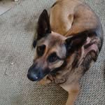 Bobby Golden - @bobby.golden.7503 - Instagram