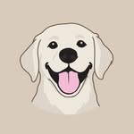 Bobby the Golden 🐶 - @bobbythegoldenn - Instagram