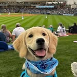 Bobby Witt The Golden - @bobbywittthegolden - Instagram