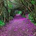 Robert Greenfield - Facebook