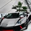 Bobby Hadden - @bobby.hadden - TikTok