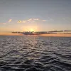 bobbyherring07 - @bobbyherring07 - TikTok