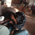 Bobby Herring - Facebook