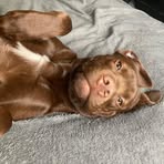 Bobby Herring - Facebook