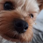 Bobby Holiday - @bobbyholiday49 - Instagram